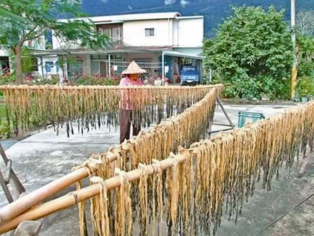 生活快門 鹹菜日光浴