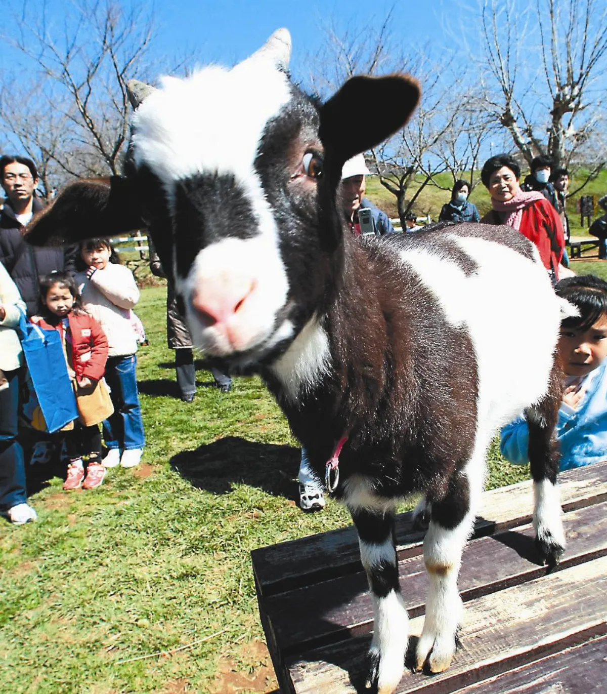 善的出發 用VR幫助病童 遊覽世界