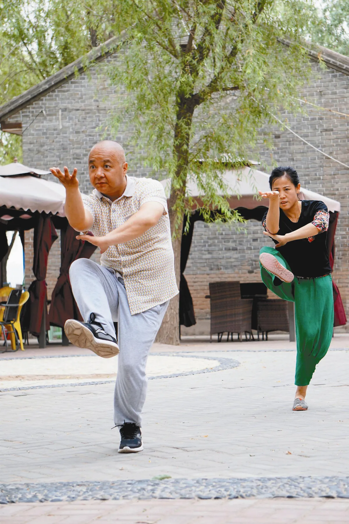 陸新運動 經變圖化為敦煌拳