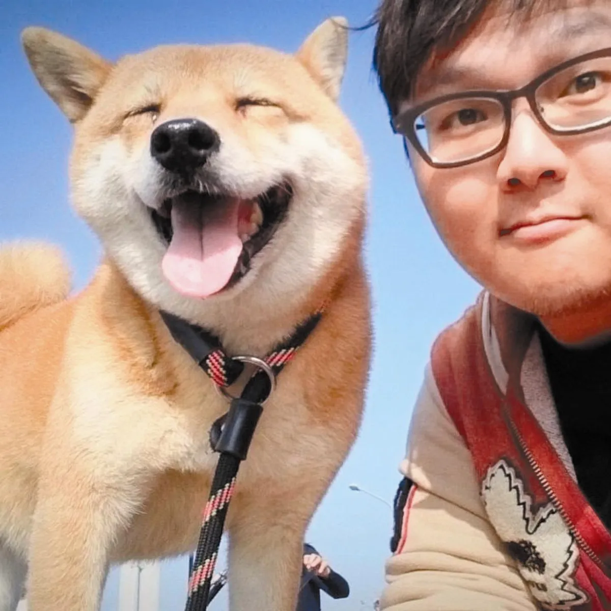 流浪者之哥 他家成了動物園