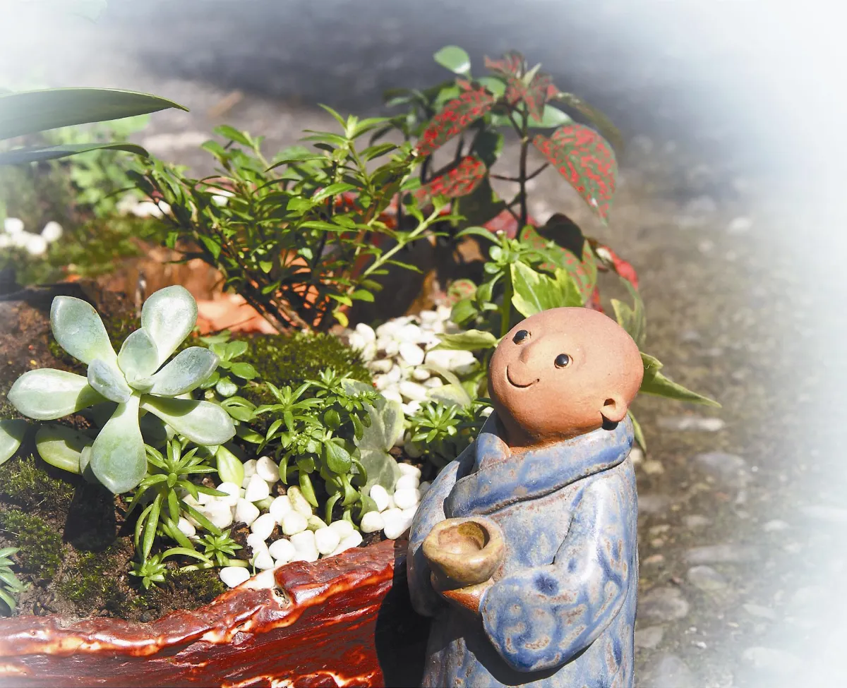 【藝術天地】我的慢活人生