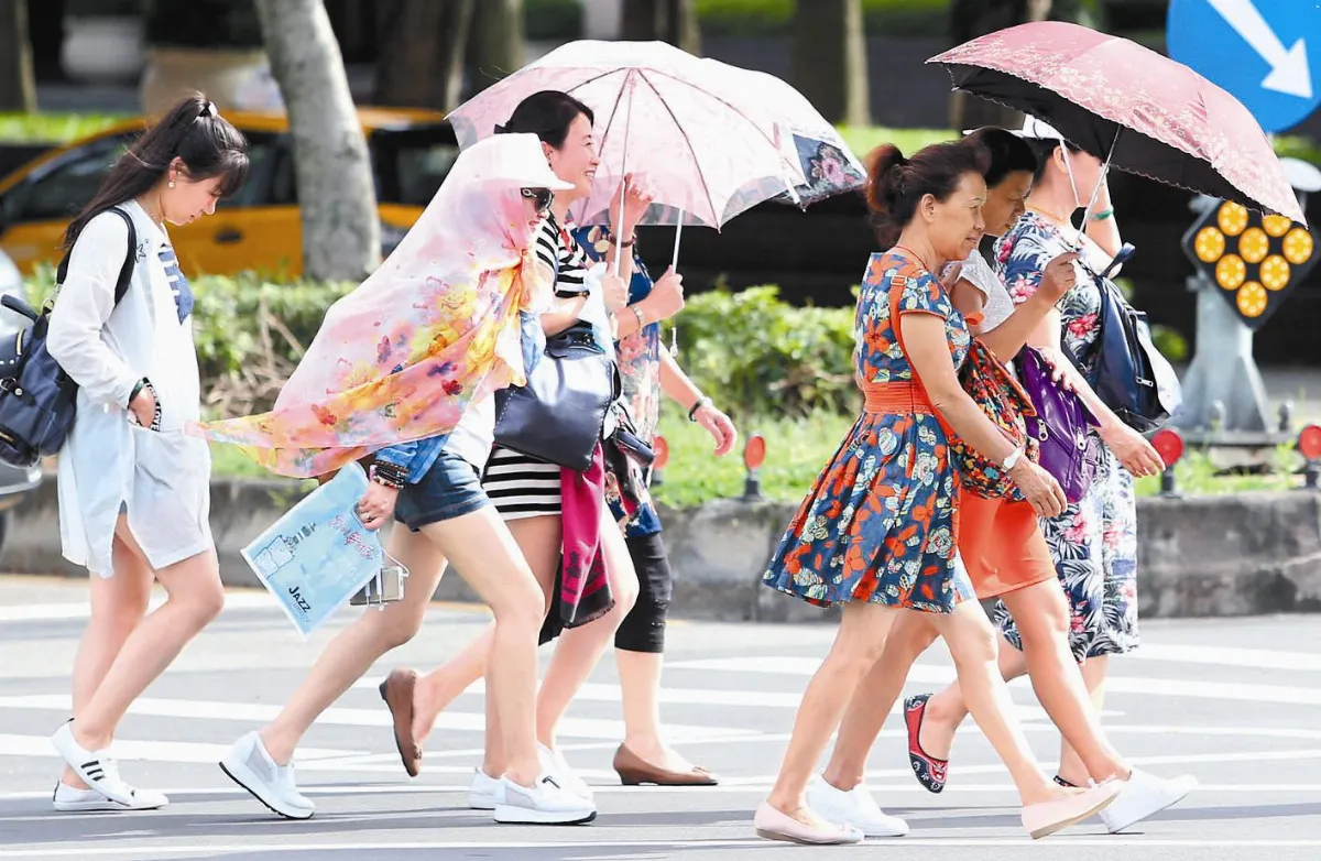 樹下好乘涼？專家：都市中不宜