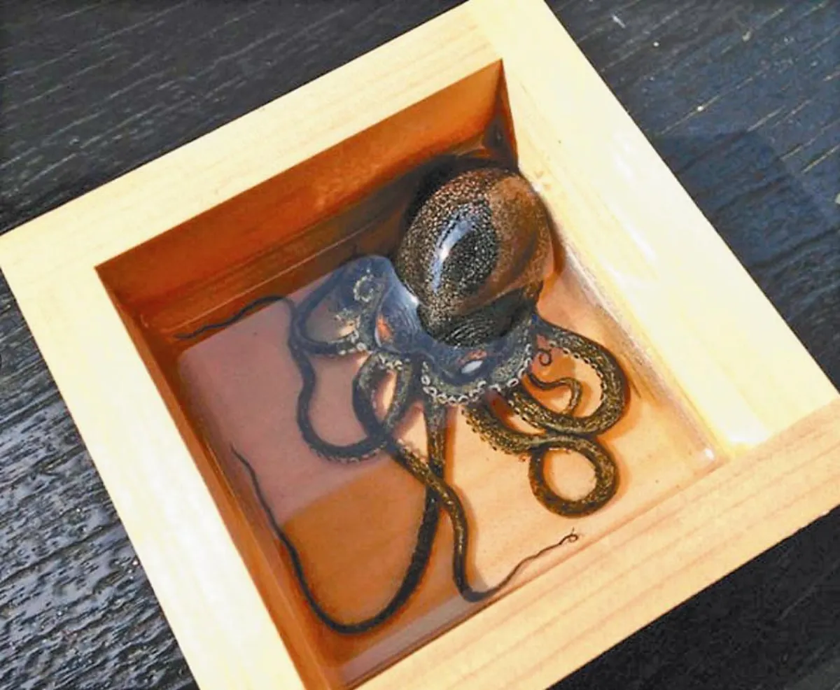 因緣的奇聞妙事  是真的嗎？3D作畫以假亂真