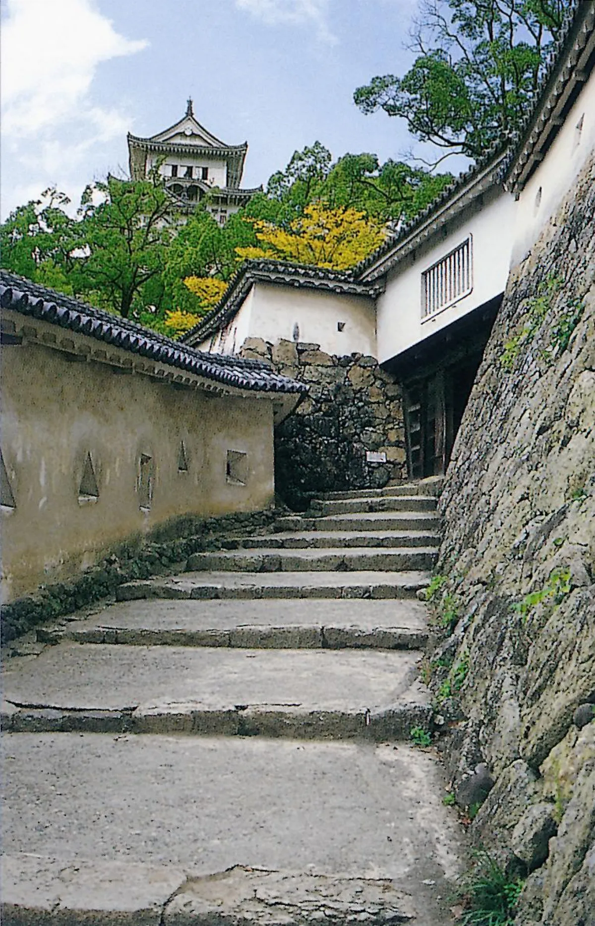 盲從