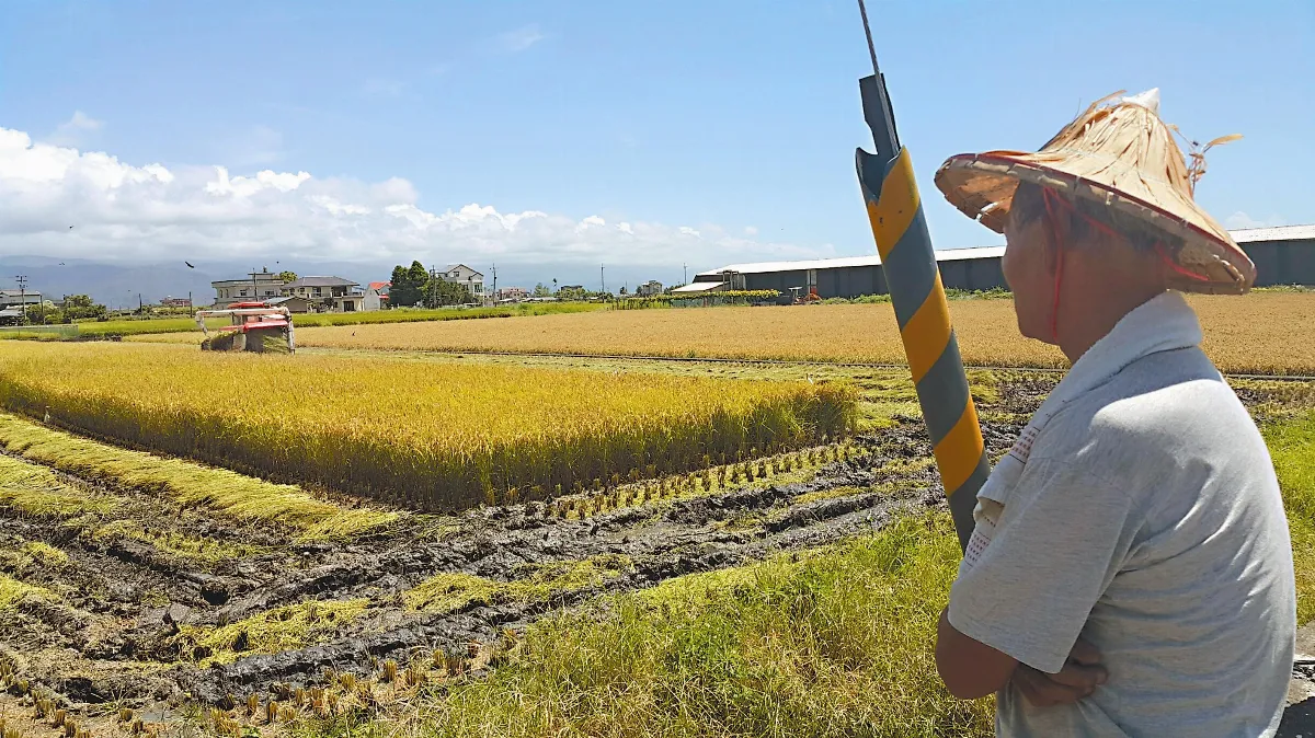 今年首颱 尼伯特陸警發布