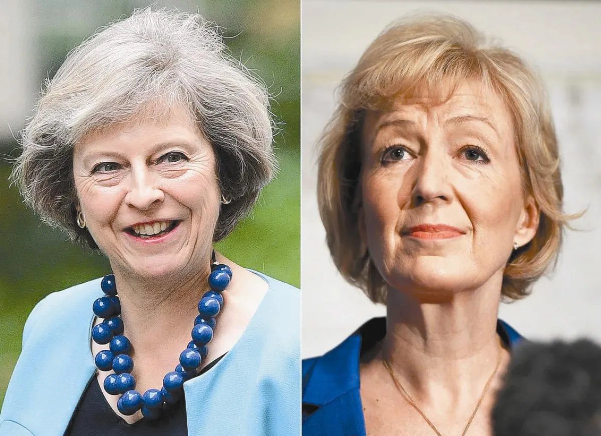 新鐵娘子vs.英版梅克爾  英首相大位 雙姝之爭
