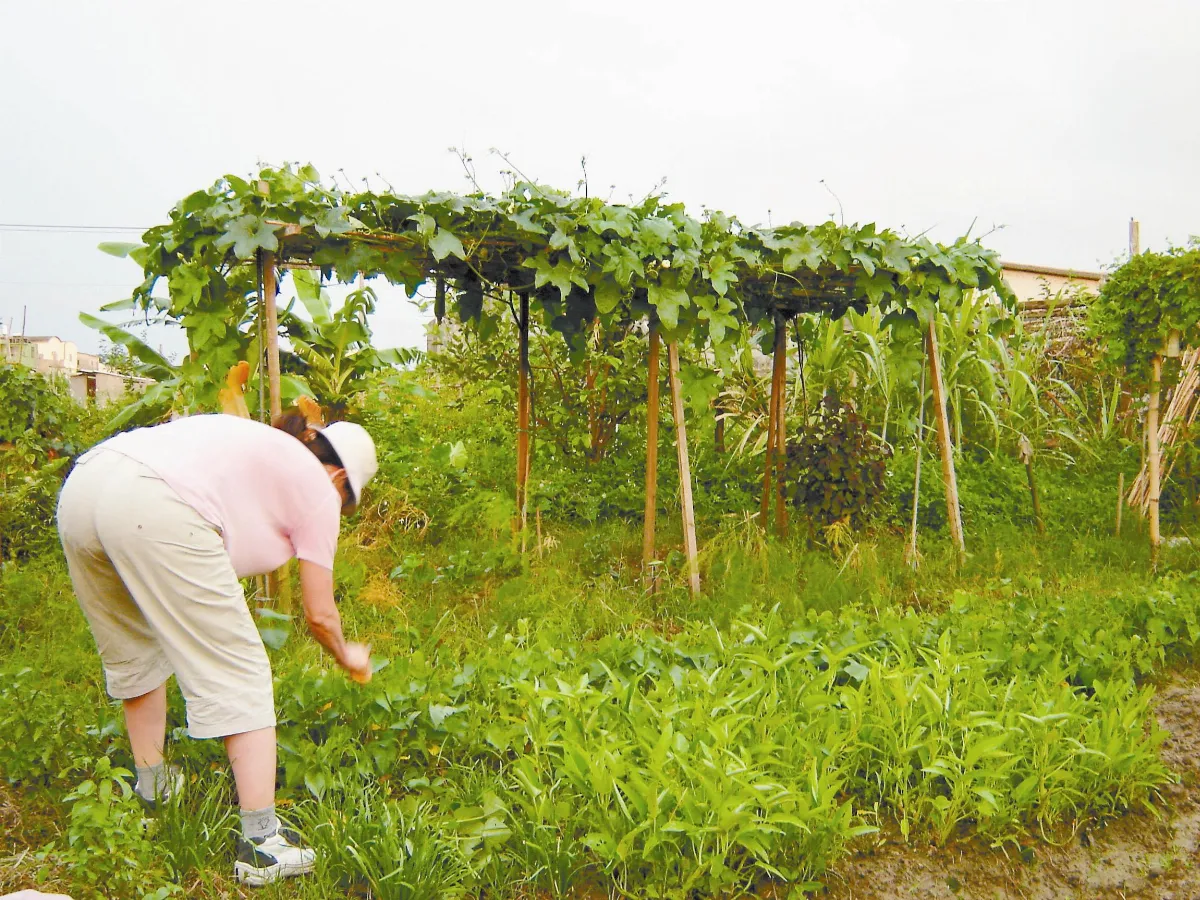 喜悅耕耘退休生涯
