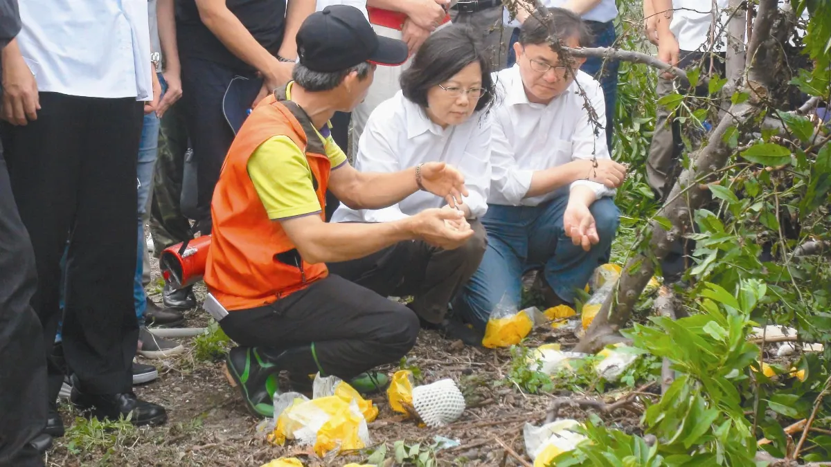 台東重建 結合產業規畫