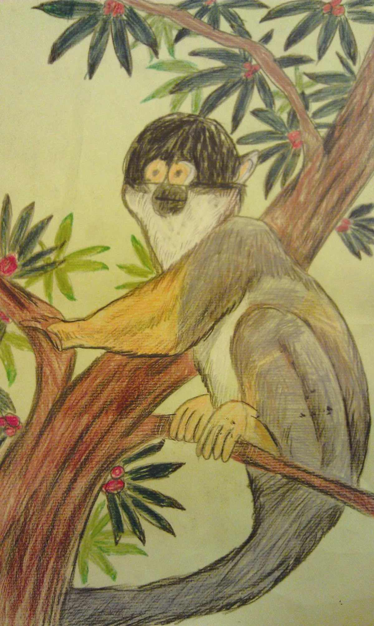 快樂塗鴉簿 松鼠猴