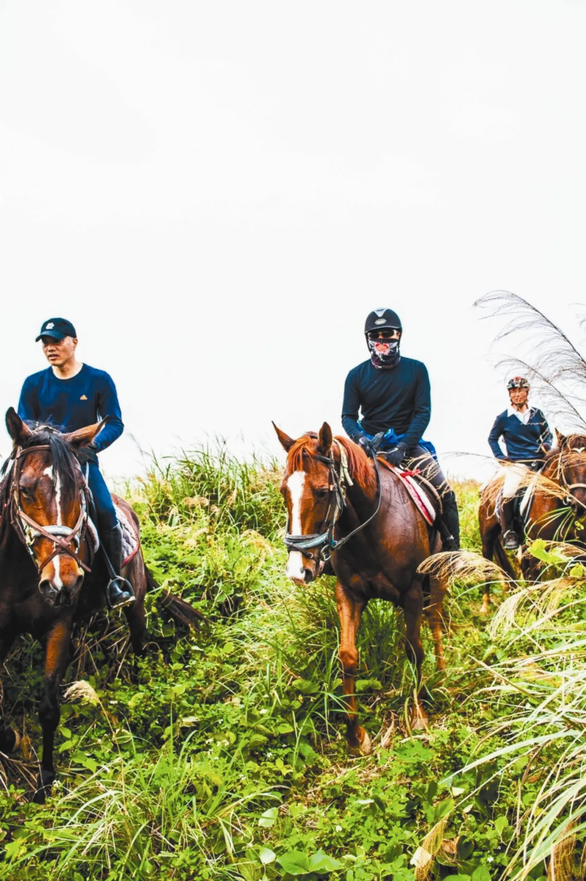 野騎奔馳 馬上遠眺西濱美景