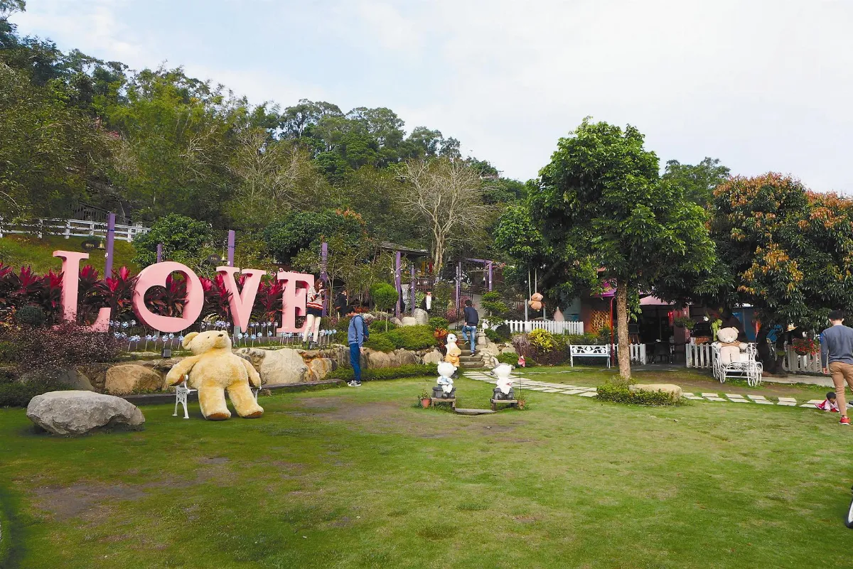 親近草泥馬 農場驚喜又浪漫