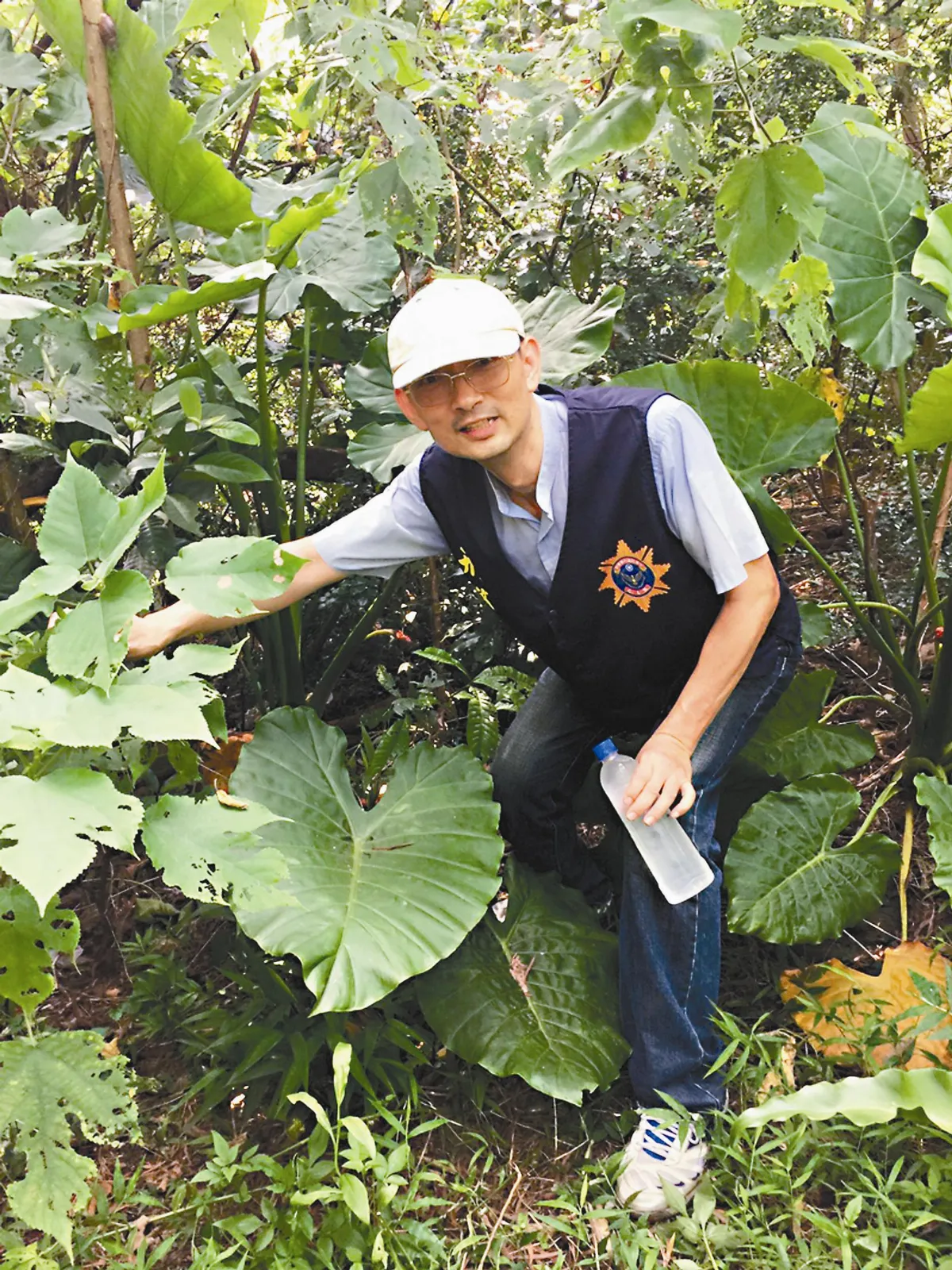 山區深處雜草 膽大心細找到贓款