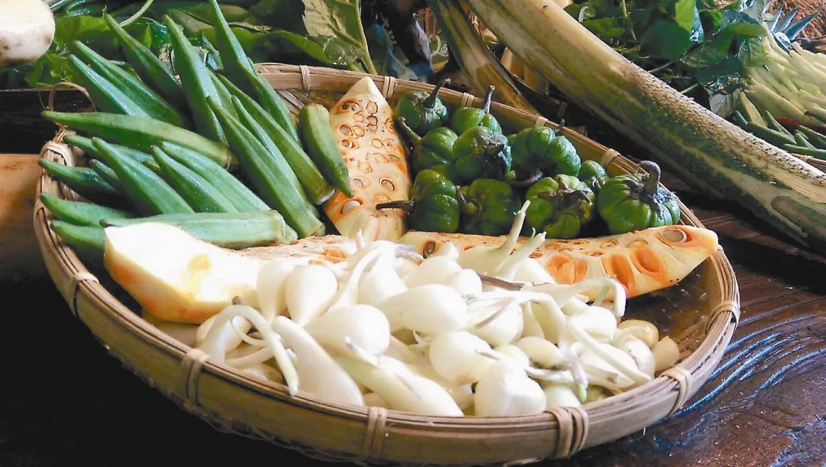 野菜野菇亂吃 八旬嬤成植物人