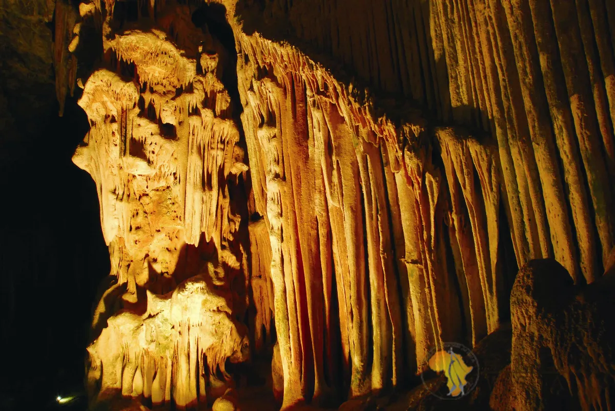 海闊天空 爬進甘果洞