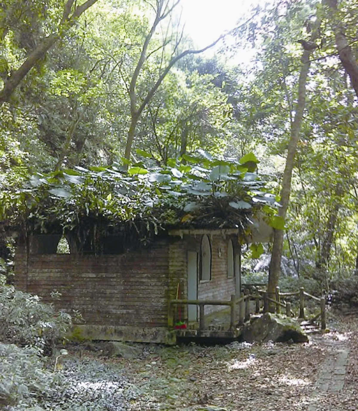 森林中的小屋
