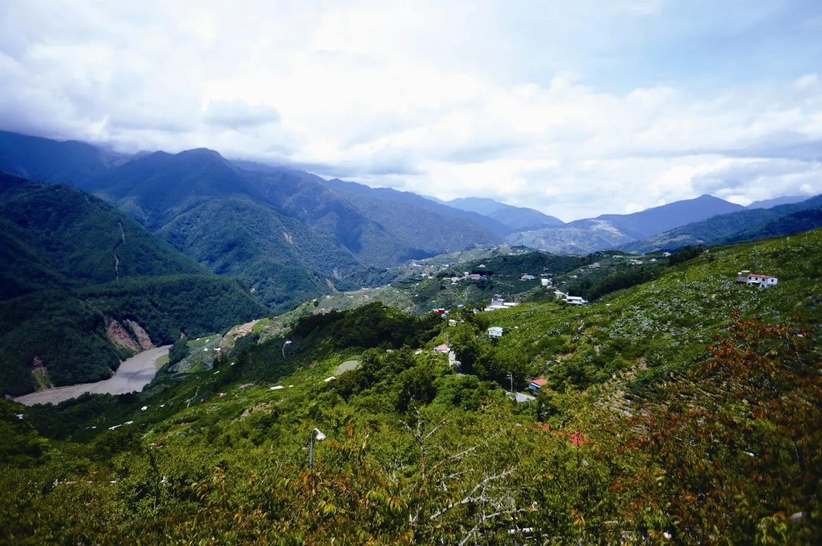 旅遊大小事 上梨山啖水蜜桃和原民同樂