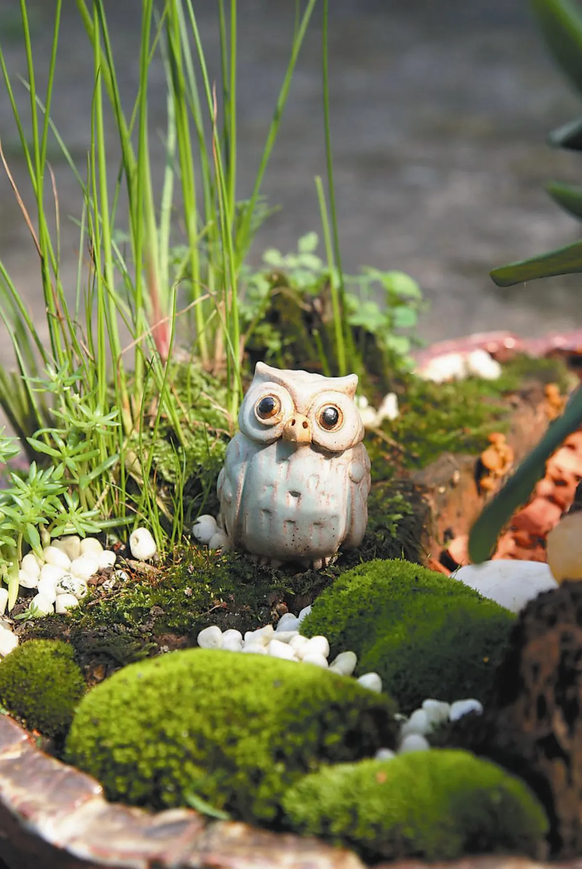 【藝術天地】 我有一個盒子