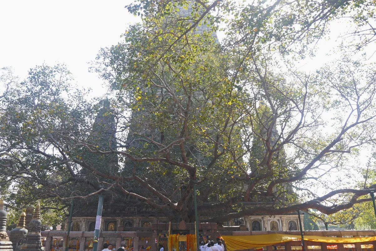 【夢回印度】 行者之路