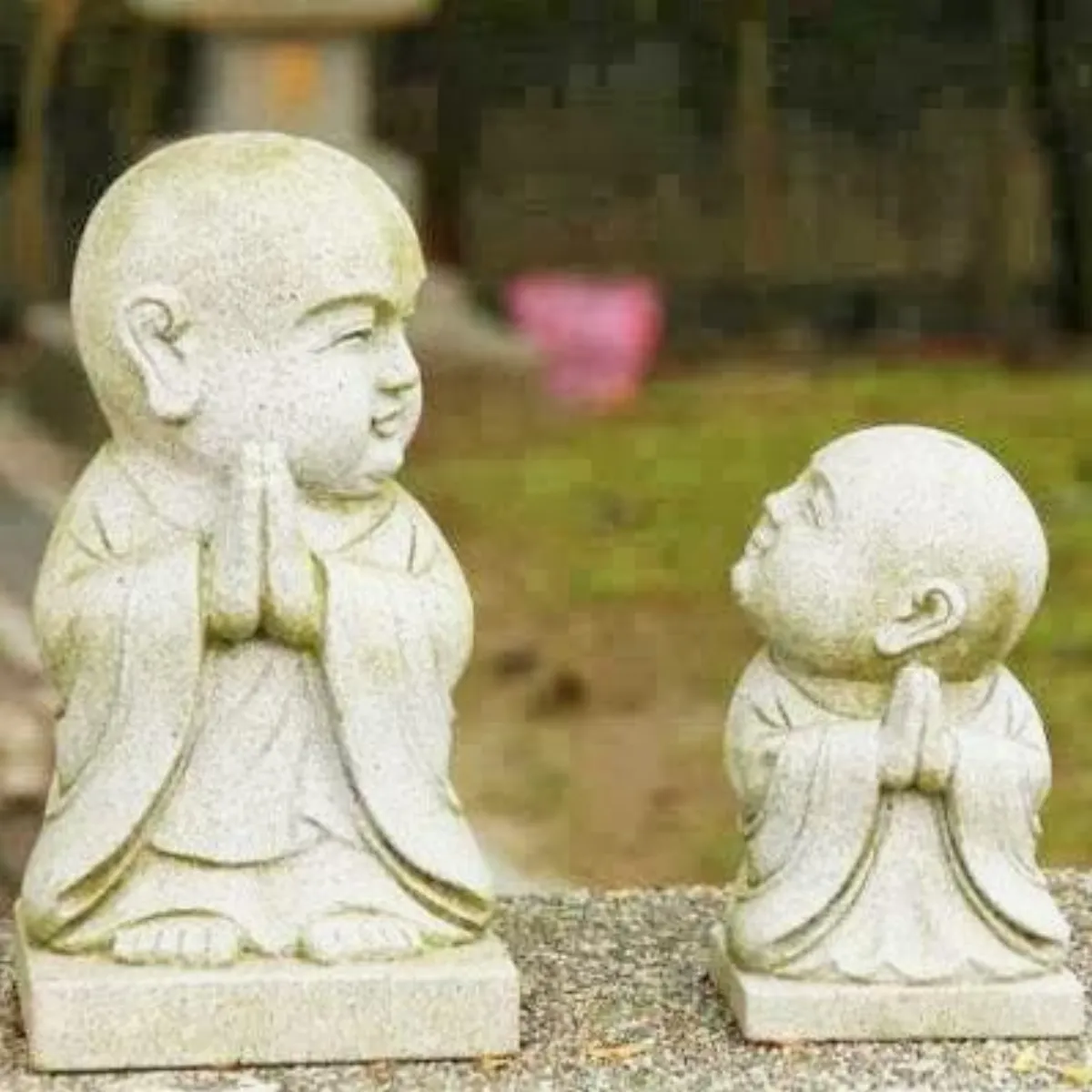 轉識成智