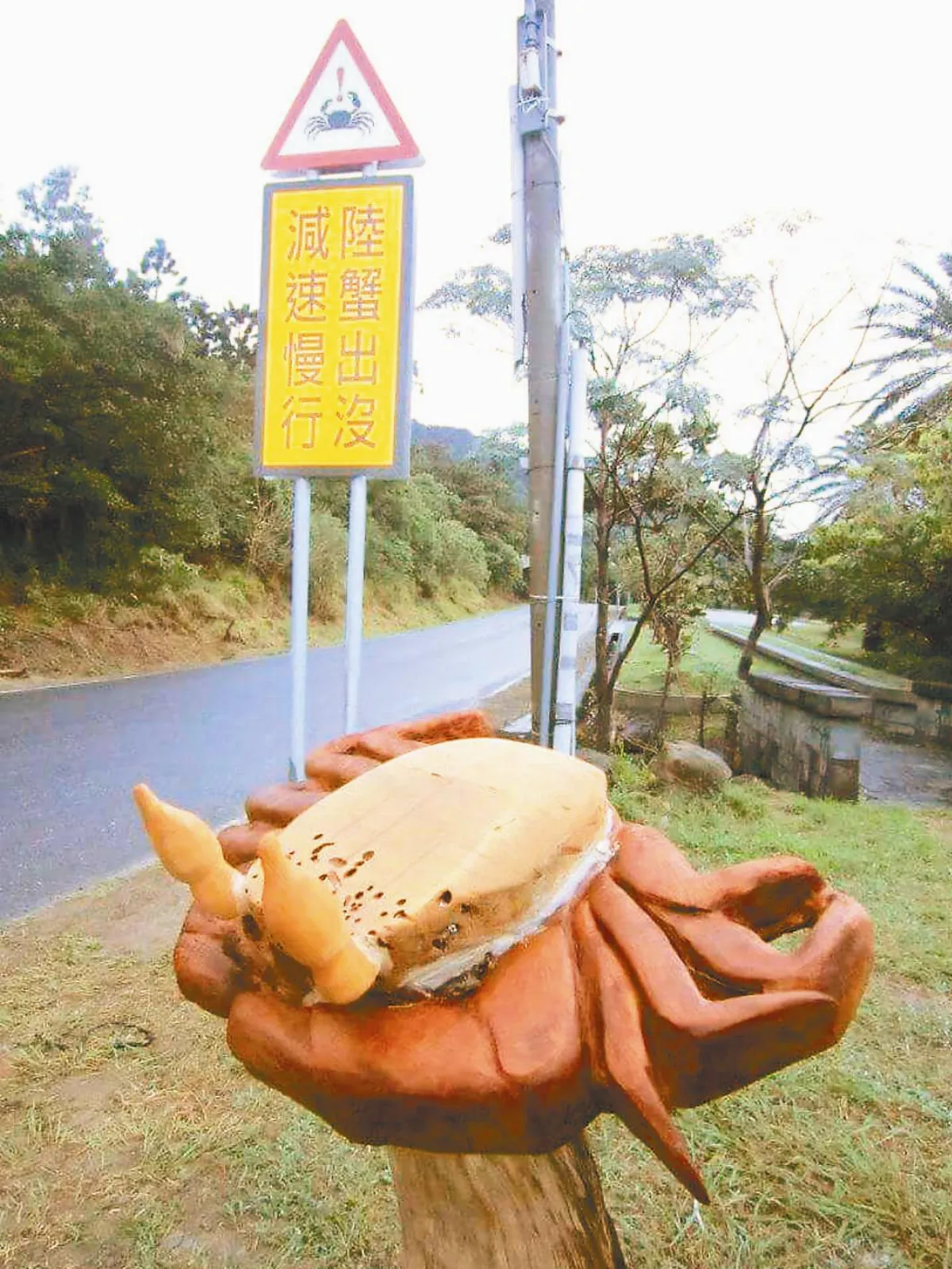 墾管處設生態廊道 護蟹媽過街