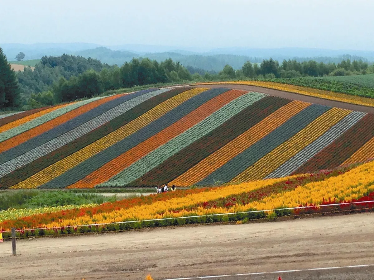 旅行風景 拼布花田
