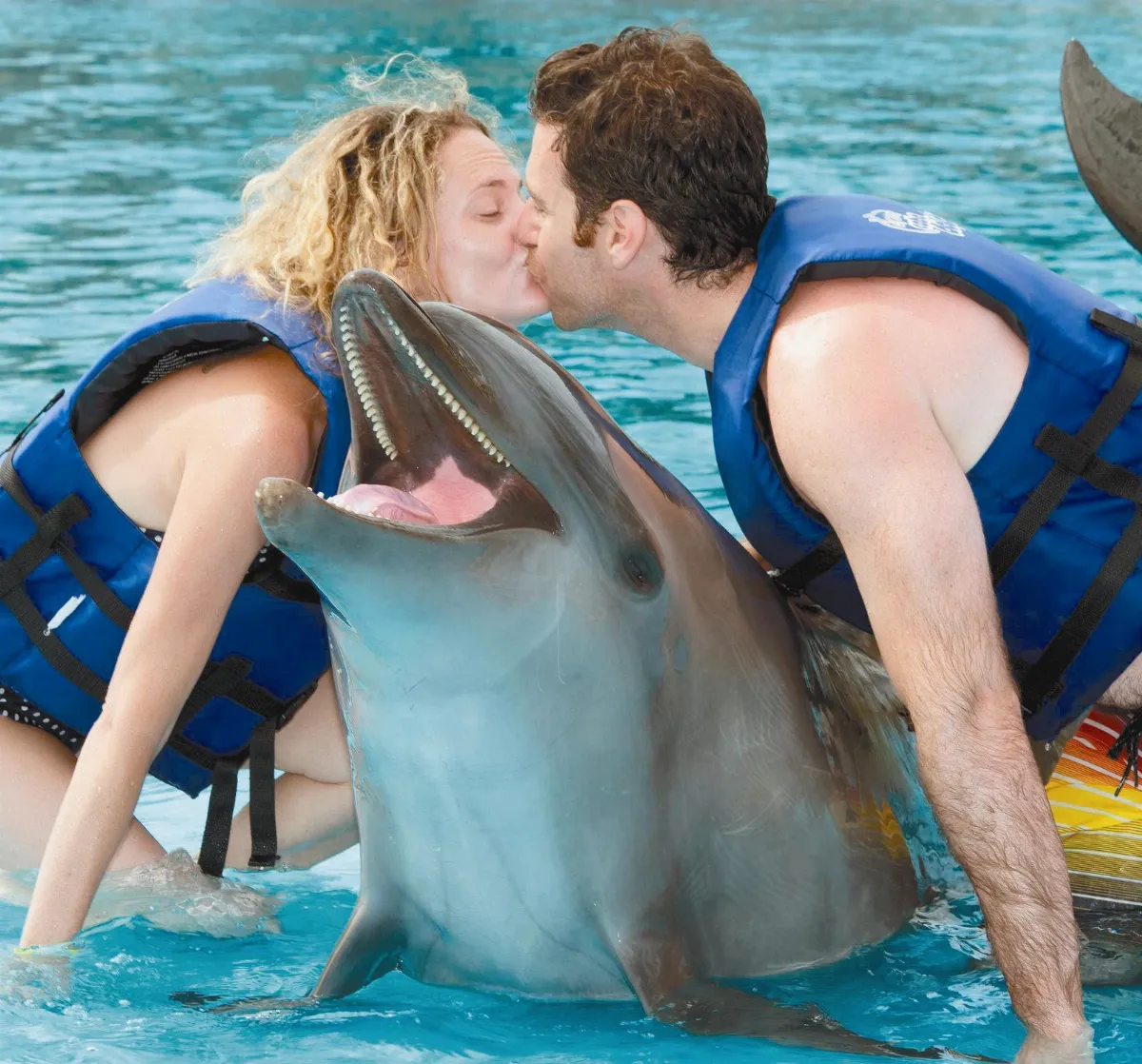 歐巴馬現身VR 推廣優勝美地