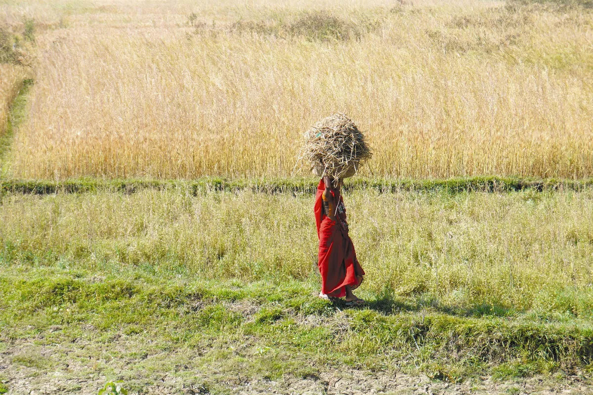 【夢回印度】 那滿世界的繽紛