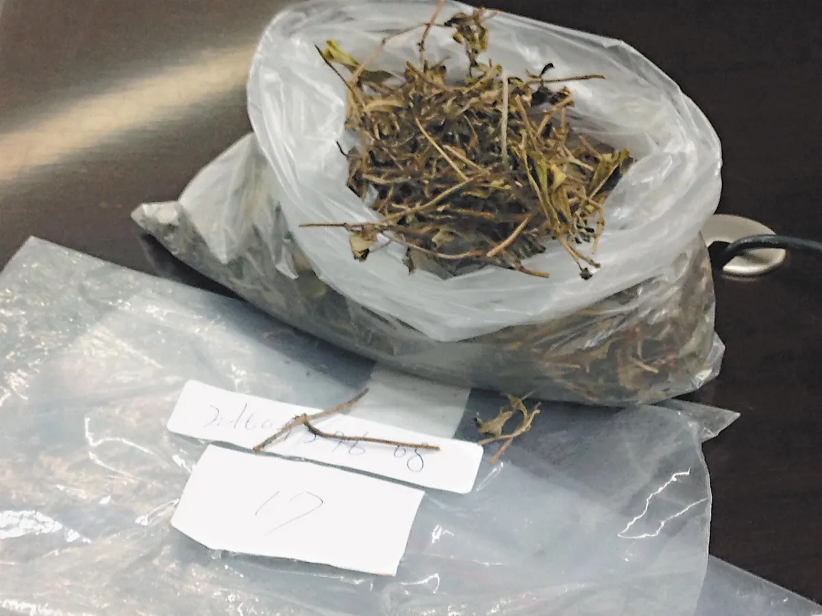 青草茶檢出農藥 下架回收