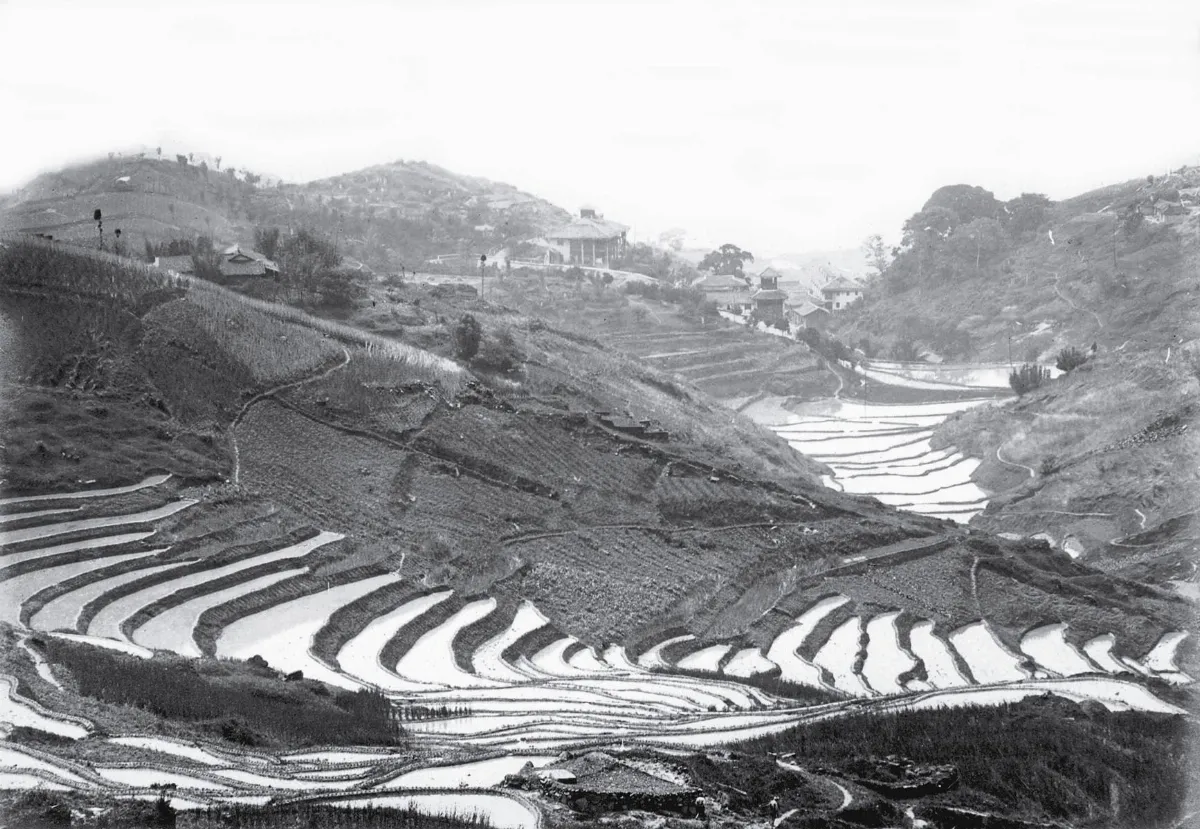 【時光走廊】中國人山河歲月農業篇(16-1)