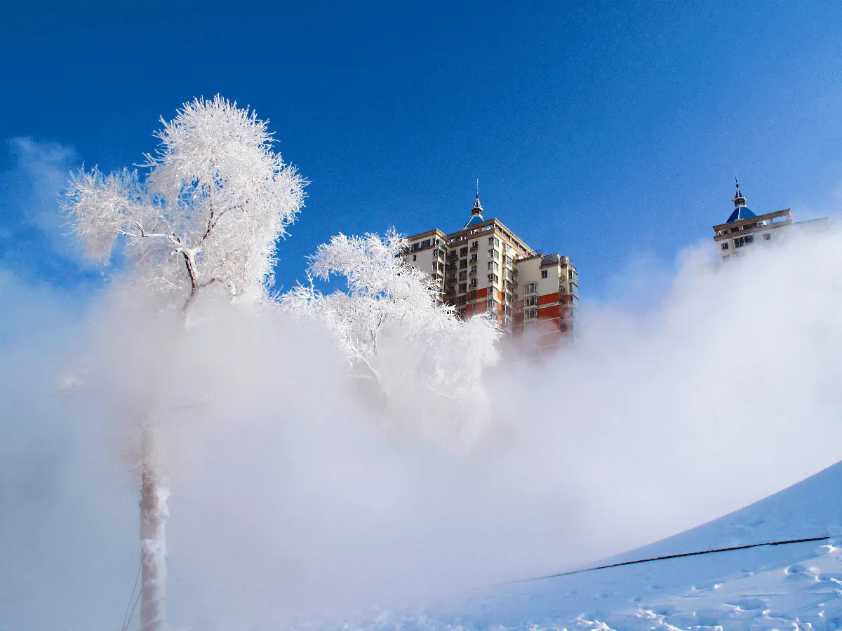 中國佃農渡黑龍江 耕作歷史失地