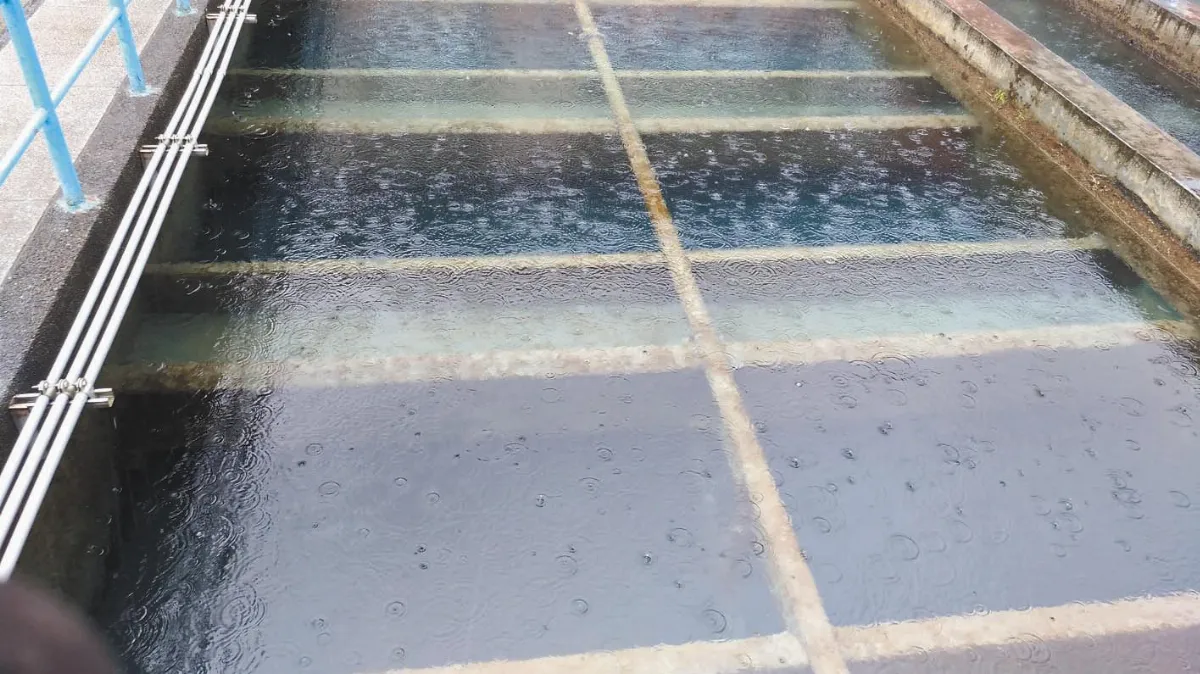 避免黃濁水 北水處嚴陣以待