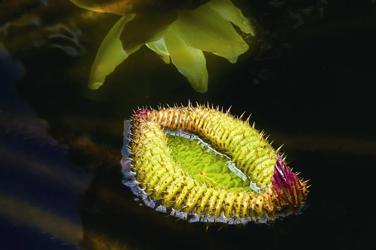 另類養生10 心臟內科醫師 黃賢正 捕捉人生  淨心致遠