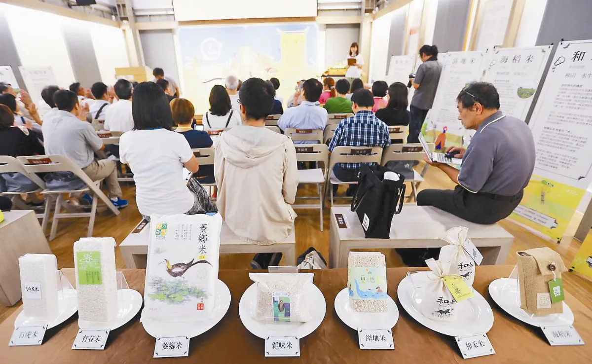 伴鳥農夫種米 泥鰍回來了