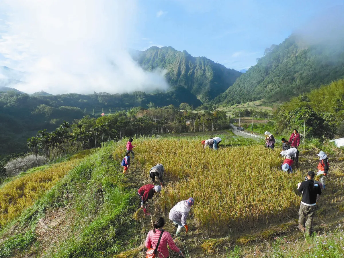 全球百大綠色旅遊地 東北角、花蓮獲認證