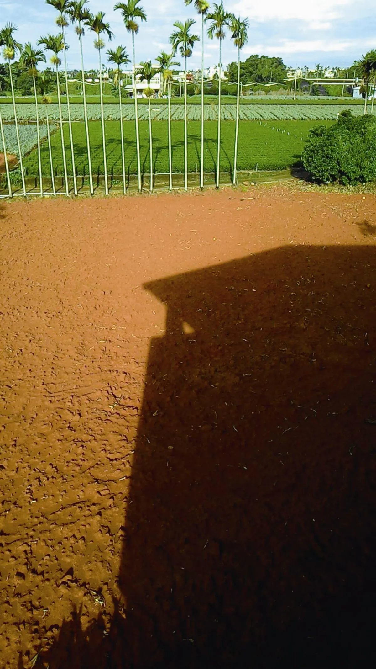 生活快門 遊子心故鄉情