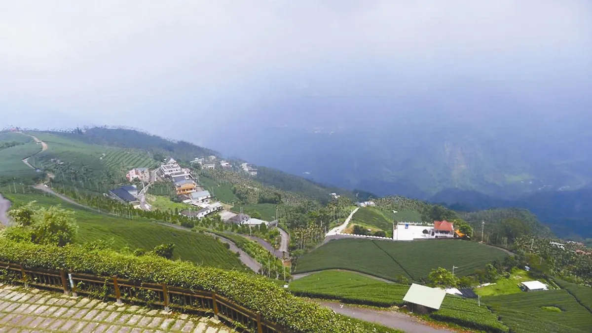 阿里山森鐵郵輪 周三探祕境