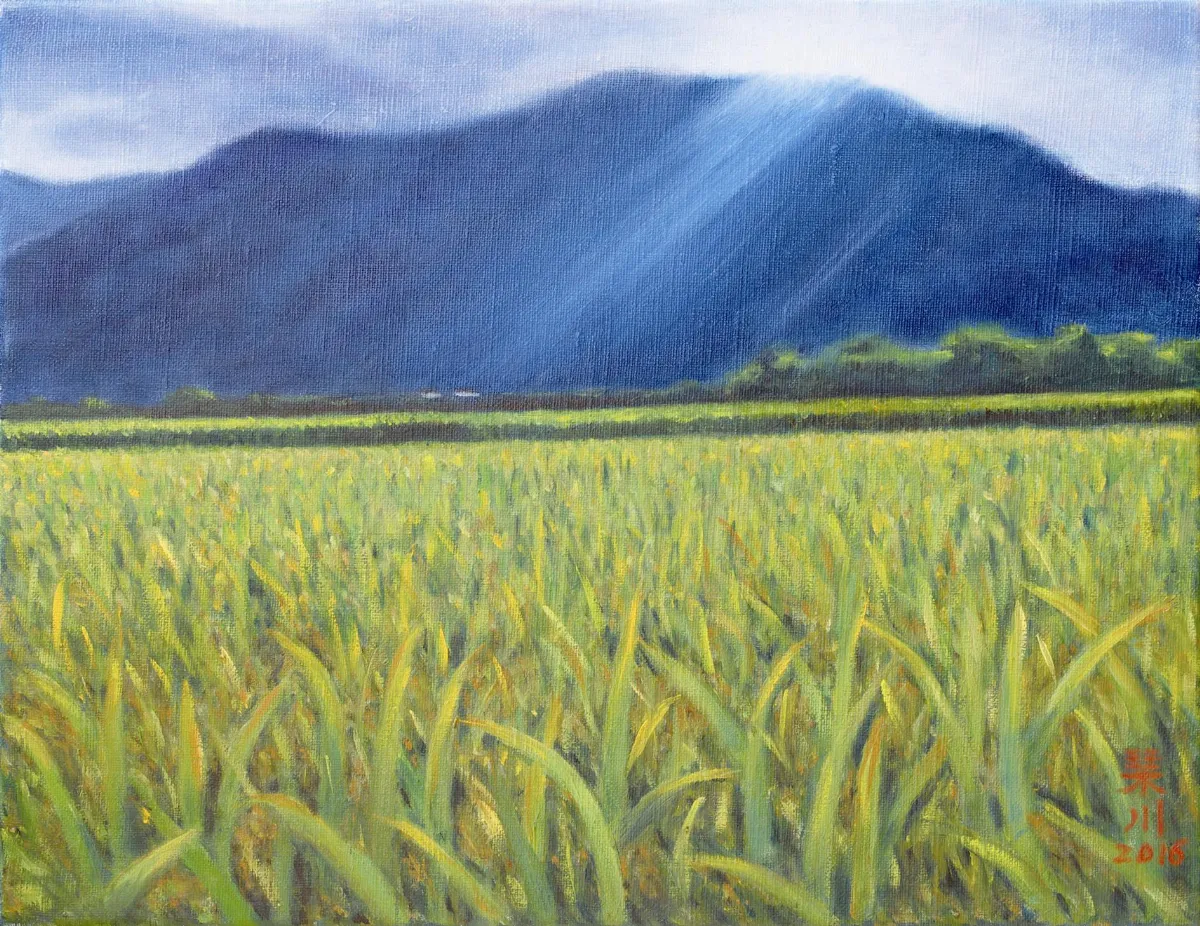 池上稻田—懷父