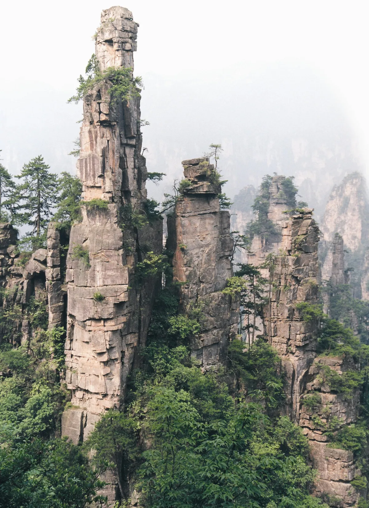 兩極