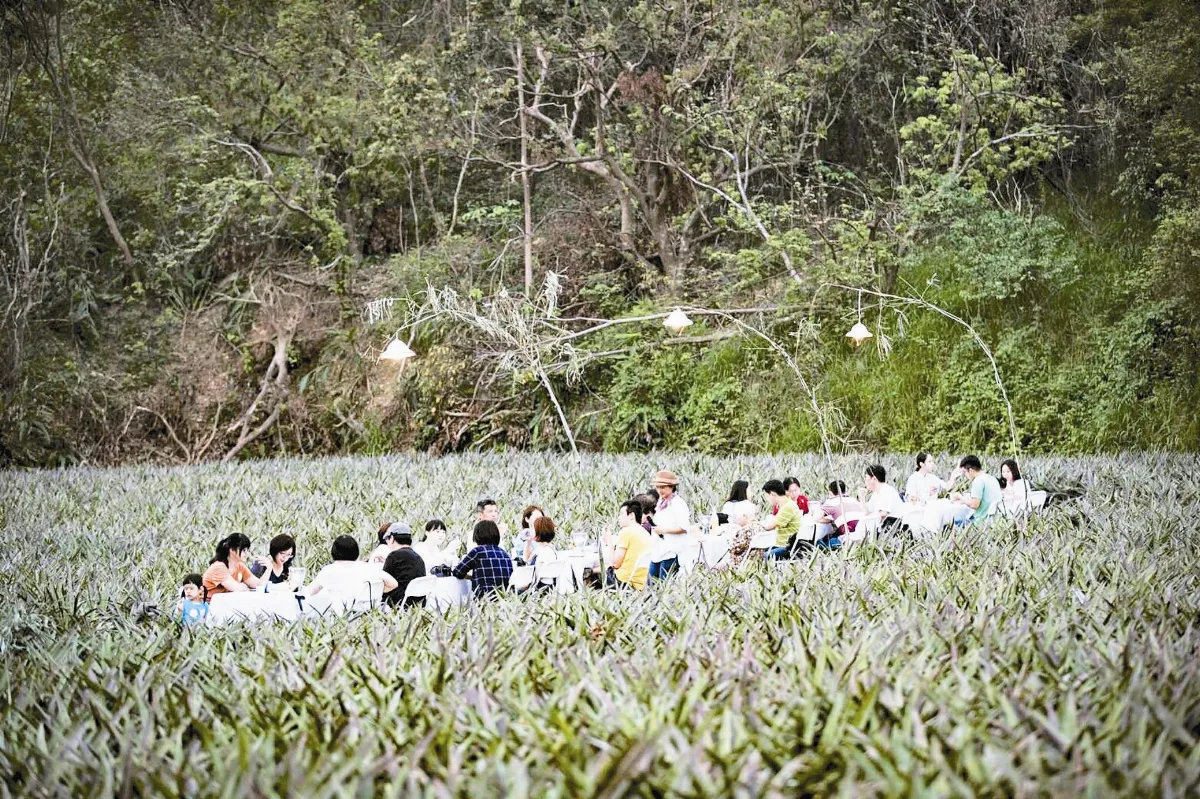 田間辦桌 與自然互動