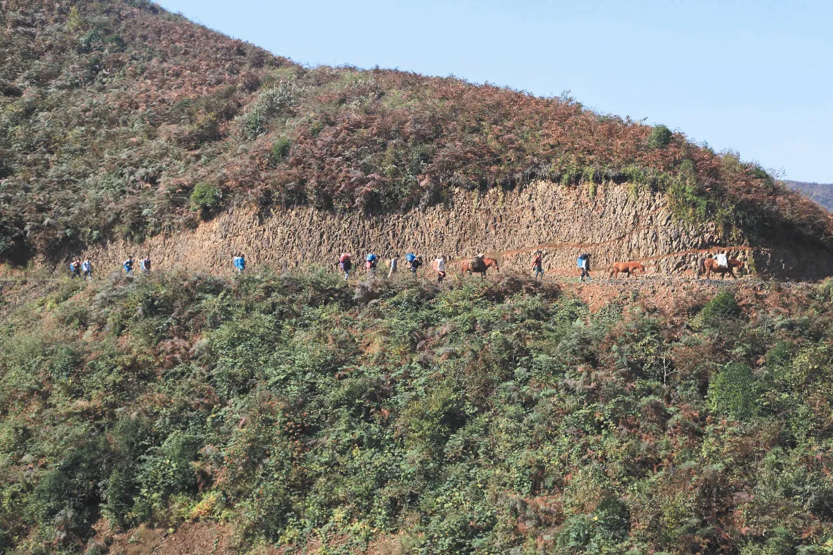 背篼圖書館入深山 送上喜閱