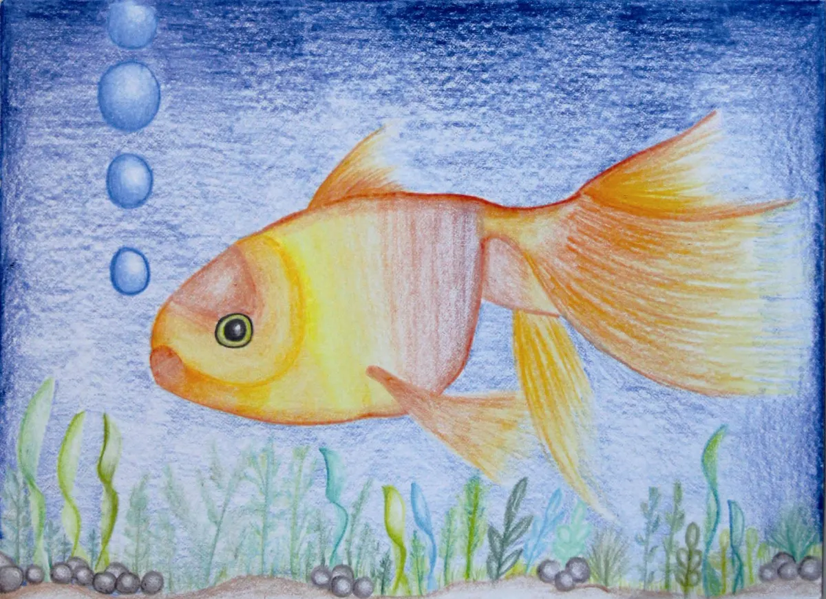 快樂塗鴉簿  金魚水中游