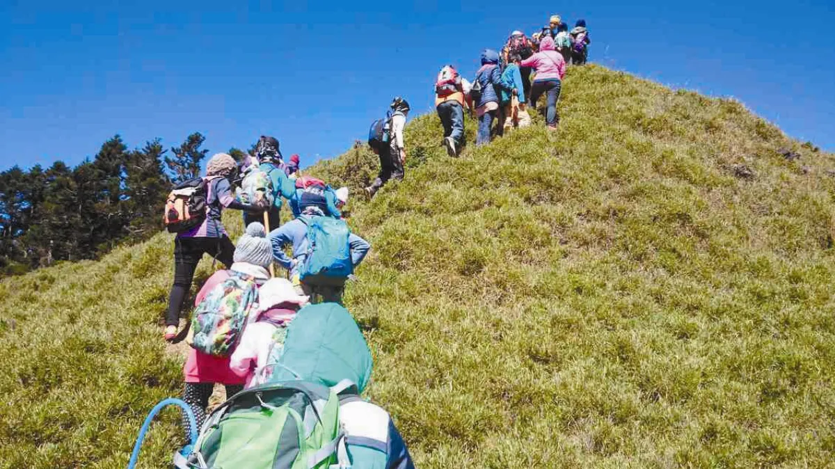 成績變好、擁有自信…  以大自然為師  小學生暢談爬山