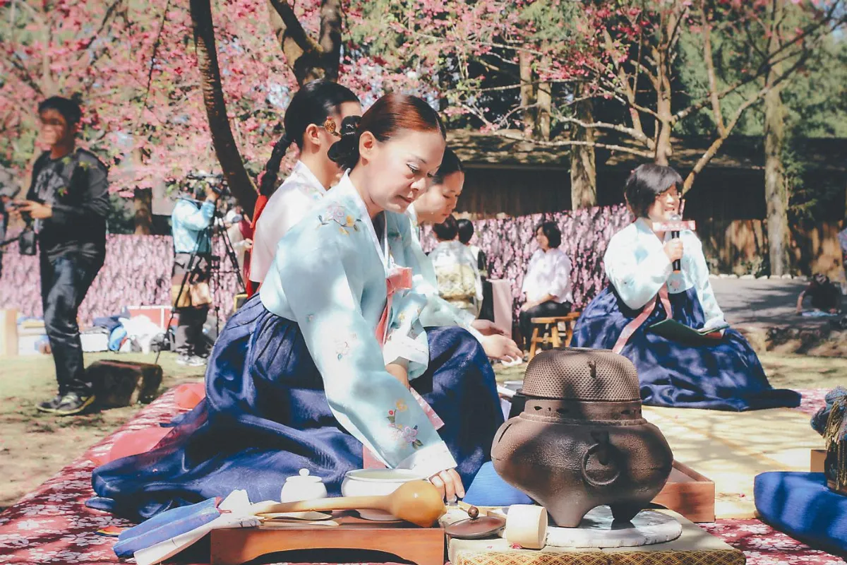 品賞國際茶道 體驗日韓穿著