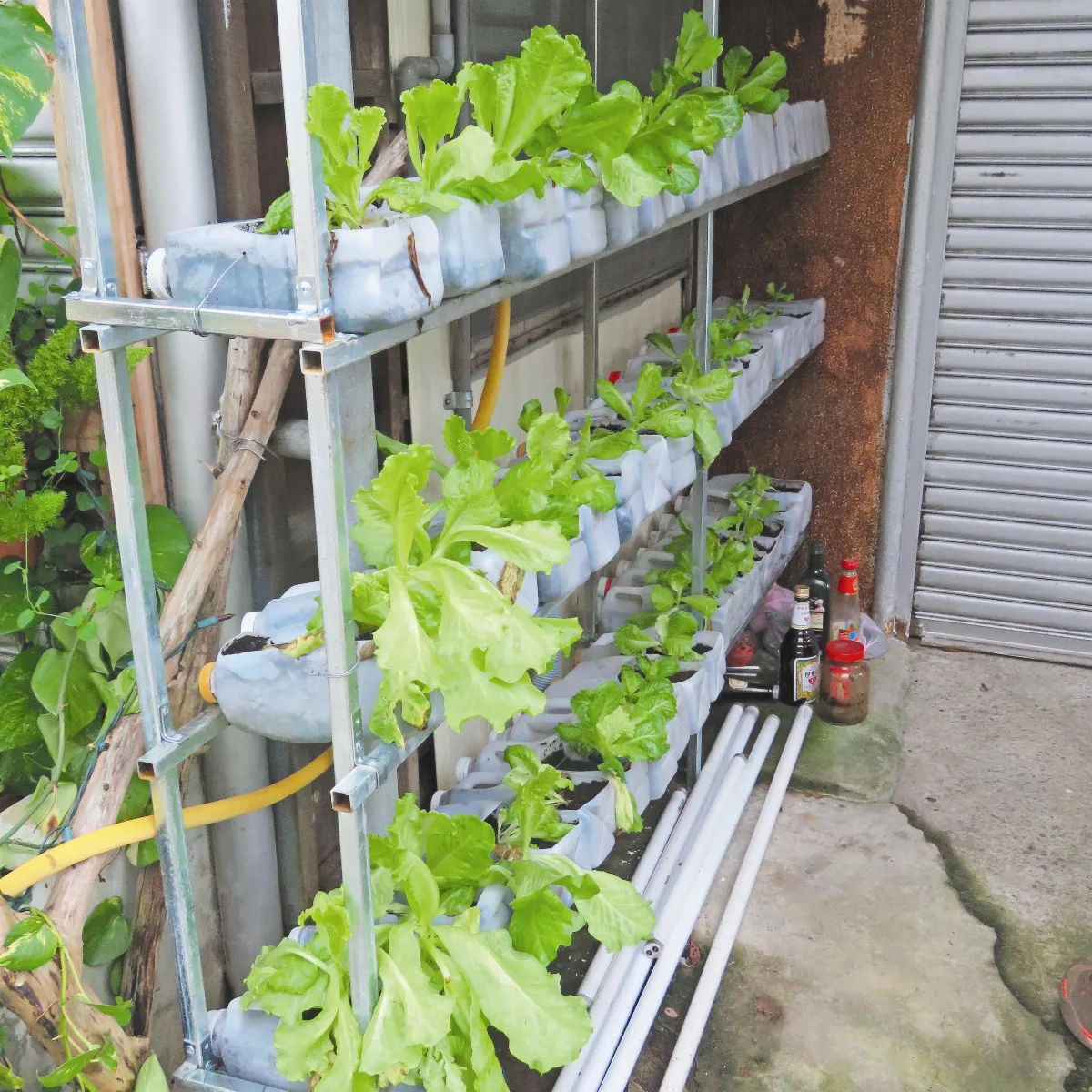 環保回收創意有一套