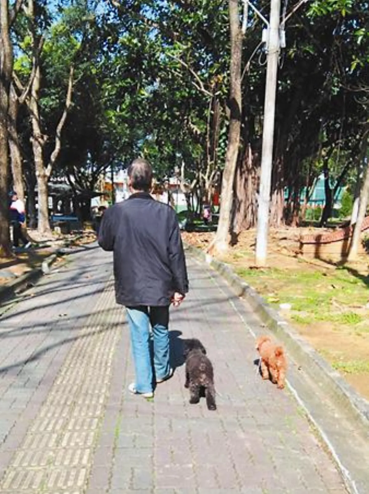 寵物一家親 向左走？向右走？