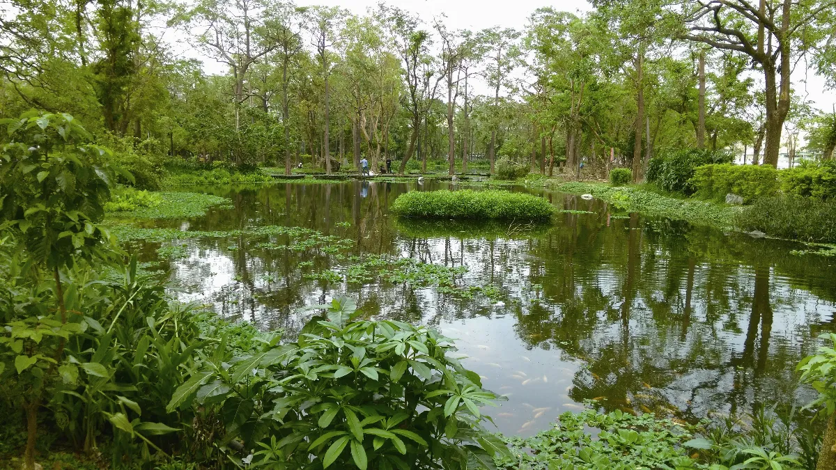 生活 快門 忘憂療癒小祕境
