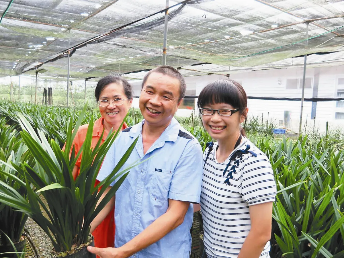 砍檳榔種國蘭 鄭榮全創外銷奇蹟