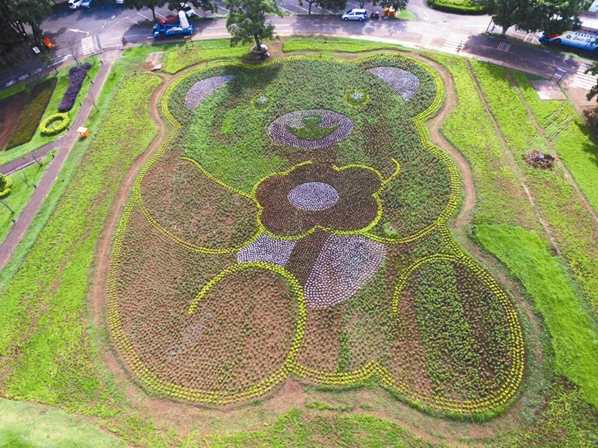 藝術地景 微旅行 5萬株苗 花花熊藏花海