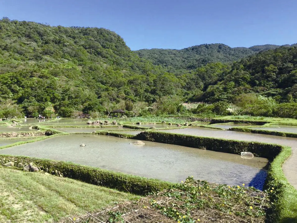 主婦小風景 對土地溫柔一點