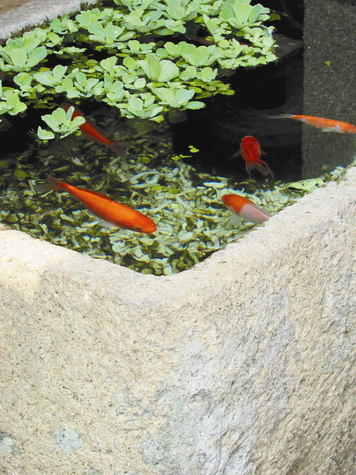 城市散步  天地優游